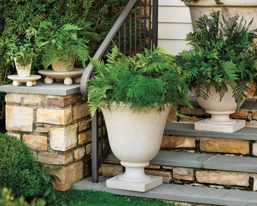 Planters Not Just For Plants Anymore!