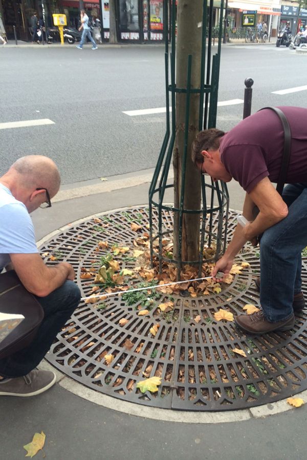 How to Install Rubber Tree Ring from Ballard Designs