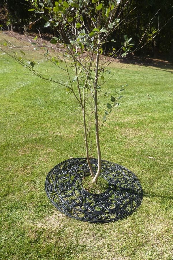 How to Install Rubber Tree Ring from Ballard Designs