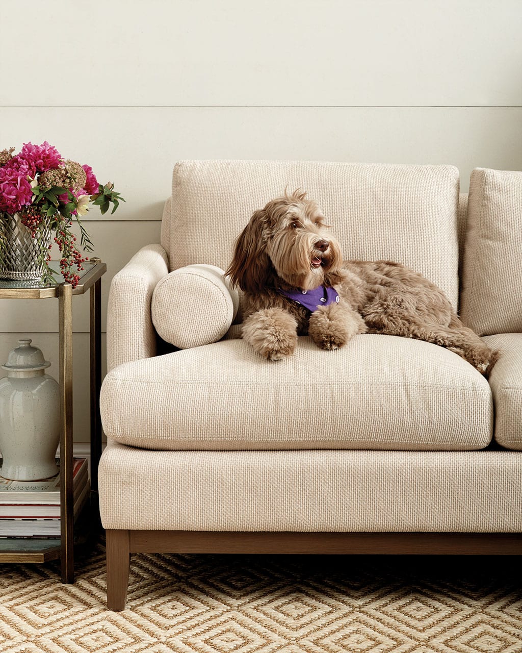 Best Sofas for Dogs