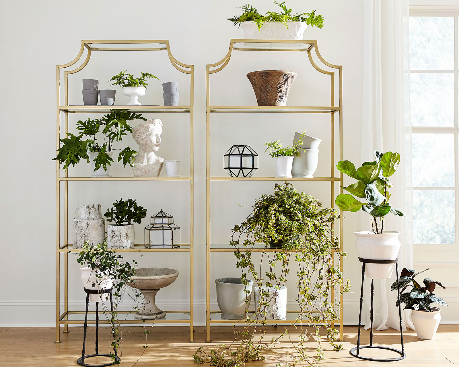 How to Decorate Your Home with Houseplants - How to Decorate