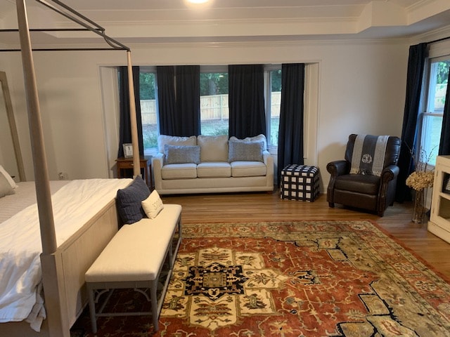 Large patterned rug with navy blue drapery panels