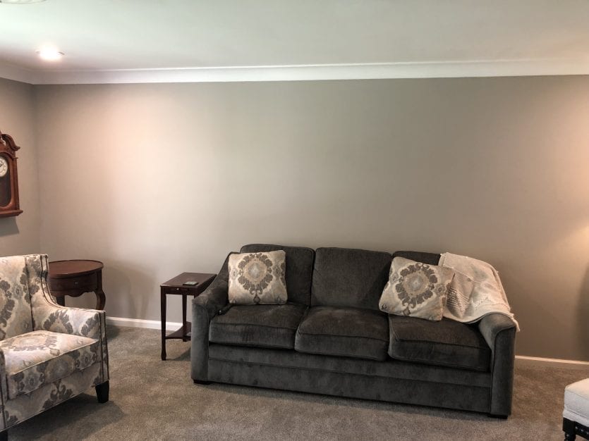 Gray living room with gray carpet and gray sofa