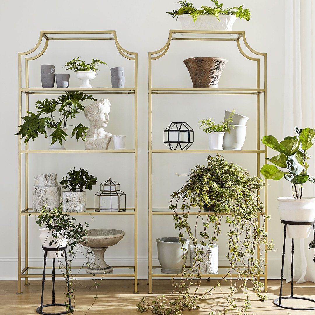 Modern Bookshelf with Decorated House Plants