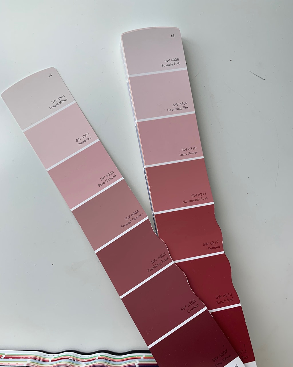Chloe's paint colors for her extra room