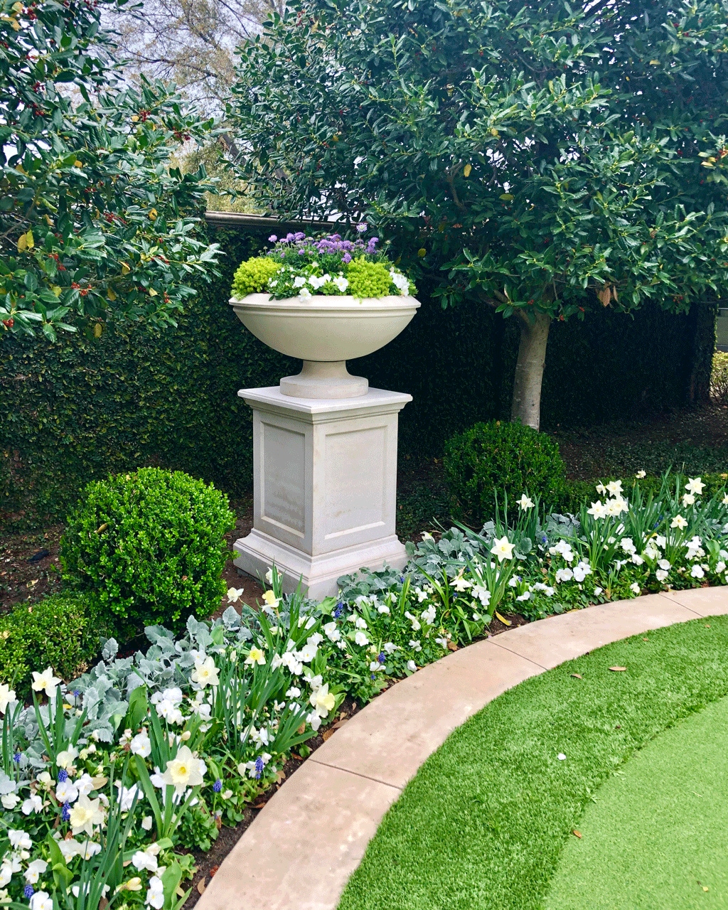 Garden design by Carmen Johnston Gardens