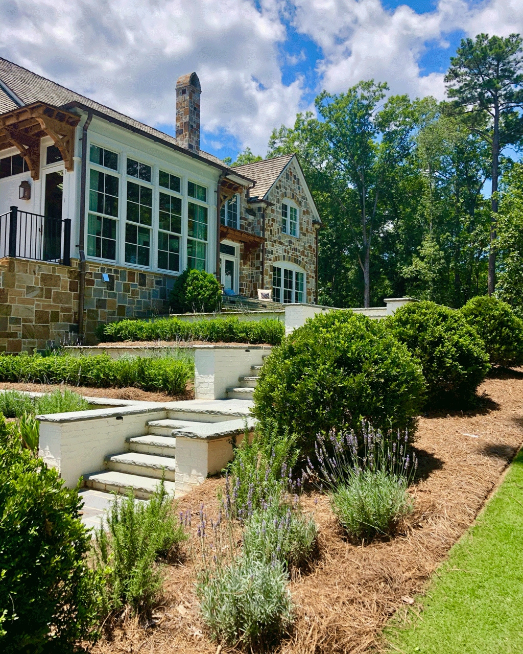 Backyard landscape design by Carmen Johnston