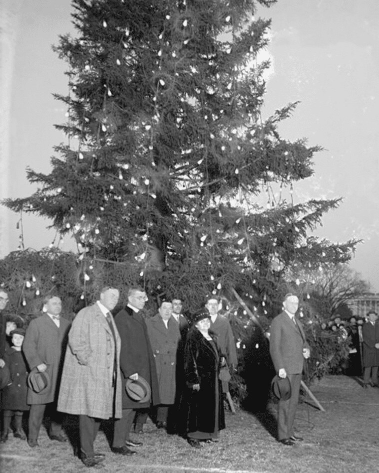 The History of Christmas Tree Decorating How to Decorate