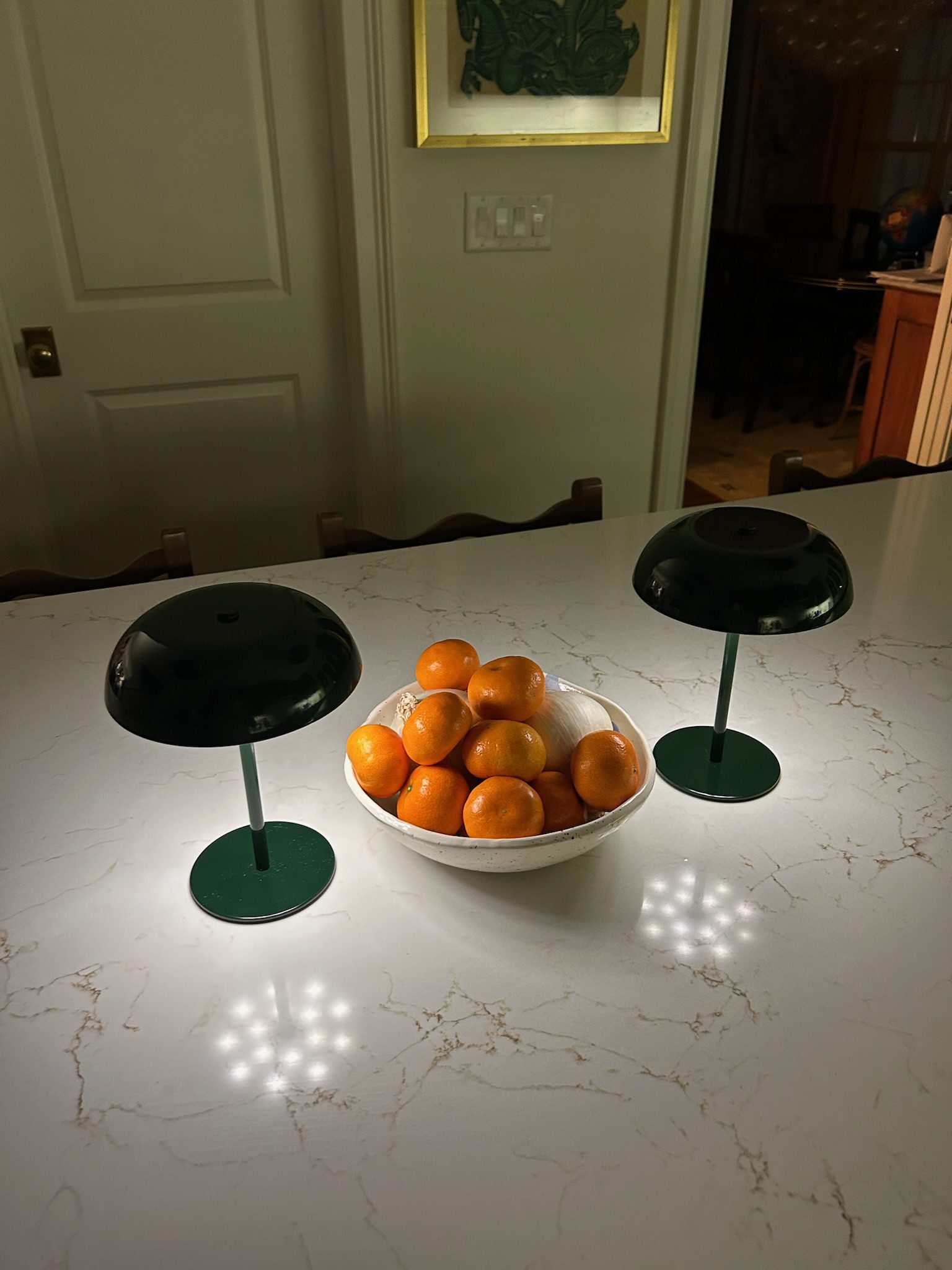 Taryn's LED rechargeable lamps