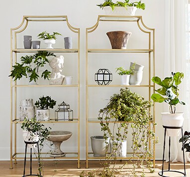 Decorating With Plants